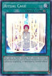 Ritual Cage (THSF-EN055) [The Secret Forces]
