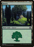 Forest [Duel Decks: Elspeth vs. Kiora]