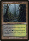 Tainted Wood (143) [Torment]