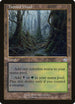 Tainted Wood (143) [Torment]