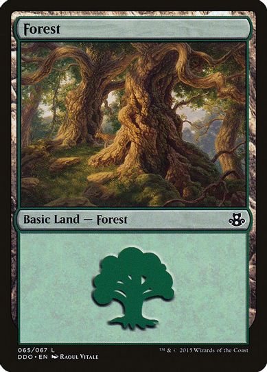 Forest [Duel Decks: Elspeth vs. Kiora]
