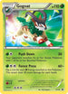 Gogoat XY16 [XY Promos]