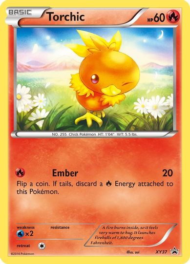 Torchic XY37 [XY Promos]