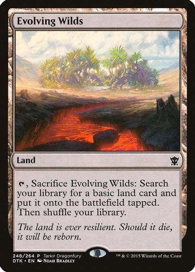 Evolving Wilds (248) [Tarkir Dragonfury Promos]