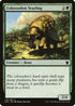 Colossodon Yearling (178) [Dragons of Tarkir]