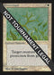 Green Ward (IE) [International Edition]