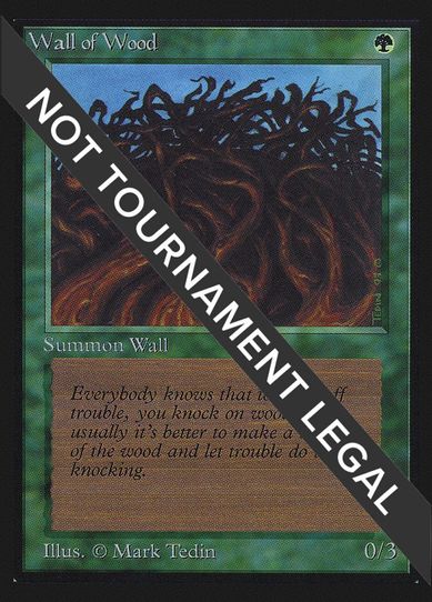 Wall of Wood (IE) [International Edition]