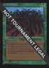 Wall of Wood (IE) [International Edition]