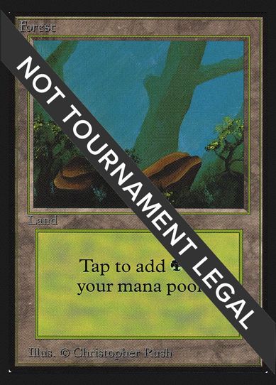 Forest (A) (IE) (280) [International Edition]
