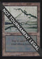 Swamp (C) (IE) (297) [International Edition]