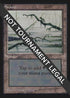 Swamp (C) (IE) (297) [International Edition]