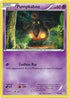 Pumpkaboo  (18/30) [XY Trainer Kit: Sylveon & Noivern]