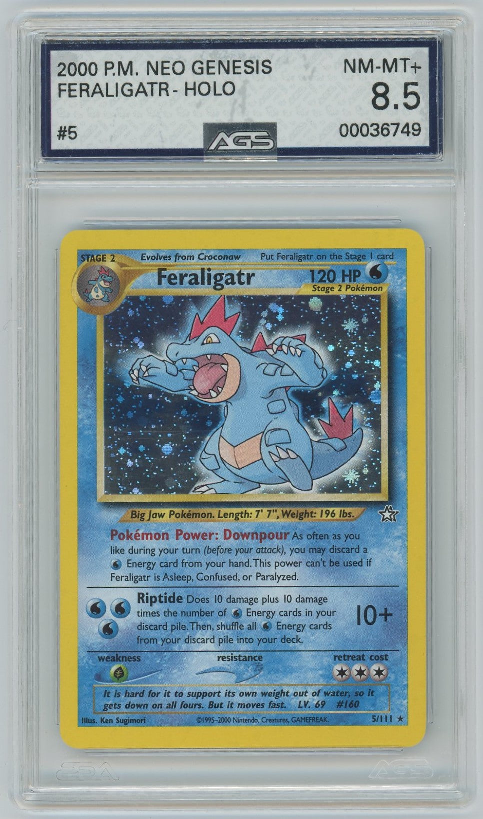 Pokemon Feraligatr 5 Holo Rare sold Non English NM Card